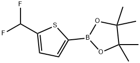 2-(5-(二氟甲基)噻吩-2-基)-4,4,5,5-四甲基-1,3,2-二氧杂硼烷 结构式