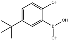 2-羟基-5-叔丁基苯硼酸 结构式