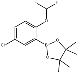 2-(5-氯-2-(二氟甲氧基)苯基)-4,4,5,5-四甲基-1,3,2-二氧硼杂环戊烷 结构式