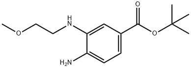4-氨基-3-((2-甲氧基乙基)氨基)苯甲酸叔丁酯 结构式