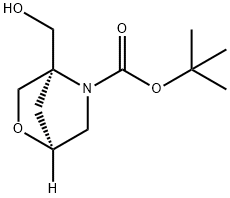 (1S,4R)-4-(HYDROXYMETHYL)-2-OXA-5-AZABICYCLO[2.2.1]HEPTANE-5-CARBOXYLATE TERT-BUTYL ESTER(1S,4R)-4-(HYDROXYMETHYL)-2-OXA-5-AZABICYCLO[2.2.1]HEPTAN-5-CARBOXYLIC 结构式