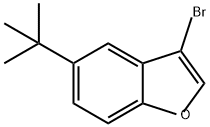 3-溴-5-叔丁基苯并呋喃 结构式