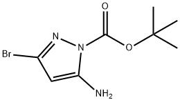 3-溴-1-BOC-1H-吡唑-5-胺 结构式