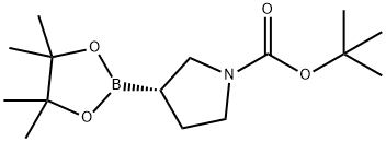 (S)-3-(4,4,5,5-四甲基-1,3,2-二氧硼杂环戊烷-2-基)吡咯烷-1-羧酸叔丁酯 结构式