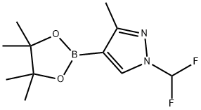 1-(二氟甲基)-3-甲基-4-(4,4,5,5-四甲基-1,3,2-二氧硼杂环戊烷-2-基)-1H-吡唑 结构式
