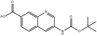 3-((叔丁氧基羰基)氨基)喹啉-7-羧酸 结构式