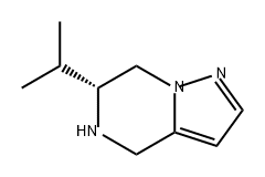 (R)-6-异丙基-4,5,6,7-四氢吡唑并[1,5-A]吡嗪 结构式