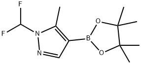 1-(二氟甲基)-5-甲基-4-(4,4,5,5-四甲基-1,3,2-二氧硼杂环戊烷-2-基)-1H-吡唑 结构式