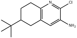 6-(叔丁基)-2-氯-5,6,7,8-四氢喹啉-3-胺 结构式