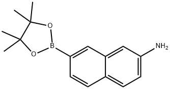 7-(4,4,5,5-四甲基-1,3,2-二噁硼戊环-2-基)萘-2-胺 结构式