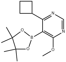 4-环丁基-6-甲氧基-5-(4,4,5,5-四甲基-1,3,2-二氧杂硼烷-2-基)嘧啶 结构式