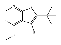 5-溴-6-(叔丁基)-4-甲氧基噻吩并[2,3-D]嘧啶 结构式