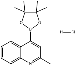 2-甲基-4-(4,4,5,5-四甲基-1,3,2-二氧杂硼杂环戊烷-2-基)喹啉盐酸盐 结构式