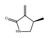 (R)-4-甲基-3-亚甲基吡咯烷-2-酮 结构式