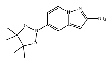 5-(4,4,5,5-四甲基-1,3,2-二氧硼杂环戊烷-2-基)吡唑并[1,5-A]吡啶-2-胺 结构式