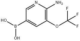 (6-氨基-5-(三氟甲氧基)吡啶-3-基)硼酸 结构式