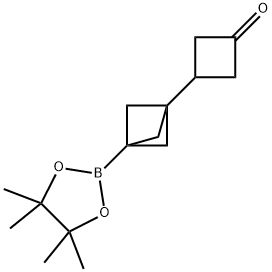 3-(3-(4,4,5,5-四甲基-1,3,2-二氧杂硼烷-2-基)双环[1.1.1]戊-1-基)环丁-1-酮 结构式