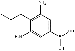 (3,5-二氨基-4-异丁基苯基)硼酸 结构式