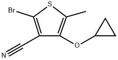 2-溴-4-环丙氧基-5-甲基噻吩-3-腈 结构式