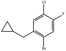 1-溴-4-氯-2-(环丙基甲基)-5-氟苯 结构式