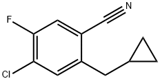 4-氯-2-(环丙基甲基)-5-氟苯甲腈 结构式