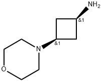 CIS-3-吗啉代环丁烷-1-胺 结构式