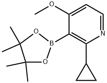 2-环丙基-4-甲氧基-3-(4,4,5,5-四甲基-1,3,2-二氧杂硼烷-2-基)吡啶 结构式