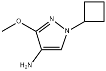 1-环丁基-3-甲氧基-1H-吡唑-4-胺 结构式