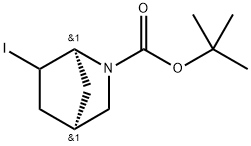 (1S,4R)-6-碘-2-氮杂双环[2.2.1]庚烷-2-羧酸叔丁酯 结构式