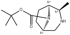 (1S,2R,5R)-2-甲基-3,8-二氮杂双环[3.2.1]辛烷-8-羧酸叔丁酯 结构式