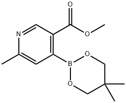 4-(5,5-二甲基-1,3,2-二氧硼烷-2-基)-6-甲基烟酸甲酯 结构式