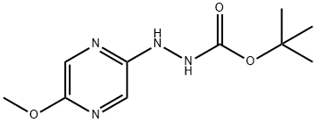 2-(5-甲氧基吡嗪-2-基)肼-1-羧酸叔丁酯 结构式