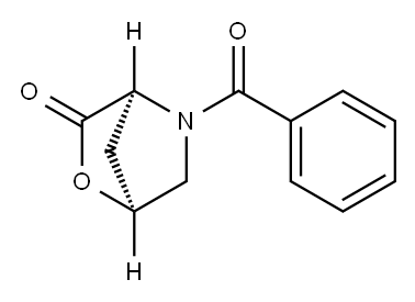 2-Oxa-5-azabicyclo[2.2.1]heptan-3-one, 5-benzoyl-, (1S,4S)- 结构式