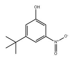 3-(叔丁基)-5-硝基苯酚 结构式