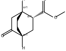 methyl (1R,2R,4R)-rel-5-oxobicyclo[2.2.2]octane-2-carboxylate 结构式