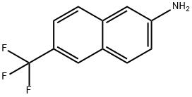 2-Naphthalenamine, 6-(trifluoromethyl)- 结构式