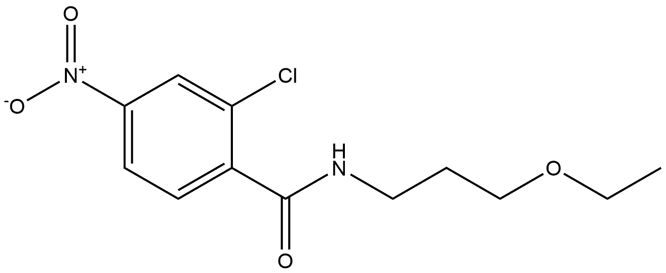 2-chloro-N-(3-ethoxypropyl)-4-nitrobenzamide 结构式