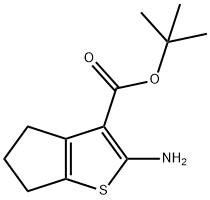 2-氨基-5,6-二氢-4H-环戊[B]噻吩-3-羧酸叔丁酯 结构式