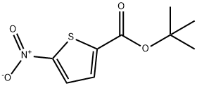 5-硝基噻吩-2-羧酸叔丁酯 结构式