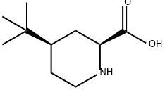 顺式-4-(叔丁基)哌啶-2-甲酸 结构式