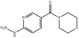 (6-肼基吡啶-3-基)(吗啉)甲酮 结构式