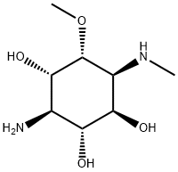 (1R)-3β-Amino-5α-methoxy-6β-methylaminocyclohexane-1β,2α,4α-triol 结构式