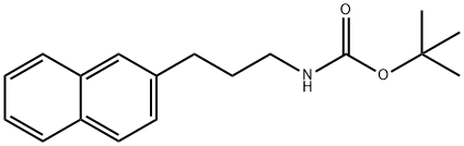 Carbamic acid, N-[3-(2-naphthalenyl)propyl]-, 1,1-dimethylethyl ester 结构式