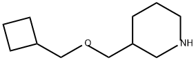 3-((CYCLOBUTYLMETHOXY)METHYL)PIPERIDINE 结构式