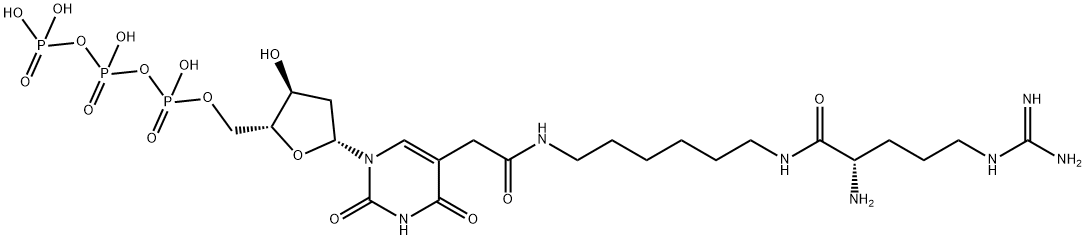 5-[2-[[6-[[(2S)-2-Amino-5-[(aminoiminomethyl)amino]-1-oxopentyl]amino]hexyl]amino]-2-oxoethyl]-2'-deoxyuridine 5'-(tetrahydrogen triphosphate) 结构式
