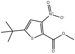 2-Thiophenecarboxylic acid, 5-(1,1-dimethylethyl)-3-nitro-, methyl ester 结构式