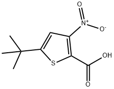 2-Thiophenecarboxylic acid, 5-(1,1-dimethylethyl)-3-nitro- 结构式