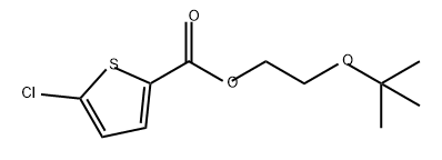 5-氯噻吩-2-甲酸2-(叔丁氧基)乙酯 结构式