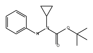 Hydrazinecarboxylic acid, 1-cyclopropyl-2-phenyl-, 1,1-dimethylethyl ester 结构式