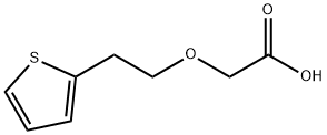 2-[2-(Thiophen-2-yl)ethoxy]acetic acid 结构式